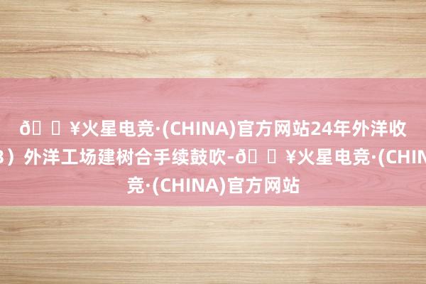 🔥火星电竞·(CHINA)官方网站24年外洋收入高增长；3）外洋工场建树合手续鼓吹-🔥火星电竞·(CHINA)官方网站