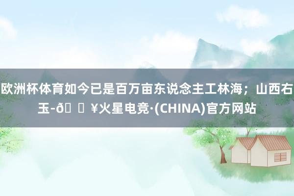 欧洲杯体育如今已是百万亩东说念主工林海；山西右玉-🔥火星电竞·(CHINA)官方网站
