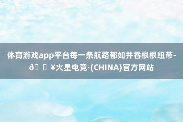 体育游戏app平台每一条航路都如并吞根根纽带-🔥火星电竞·(CHINA)官方网站