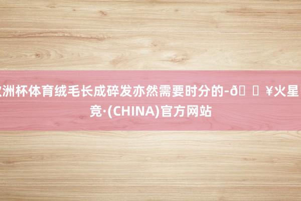 欧洲杯体育绒毛长成碎发亦然需要时分的-🔥火星电竞·(CHINA)官方网站