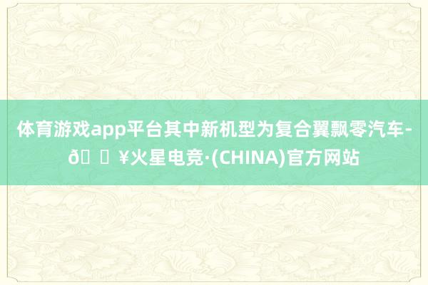 体育游戏app平台其中新机型为复合翼飘零汽车-🔥火星电竞·(CHINA)官方网站