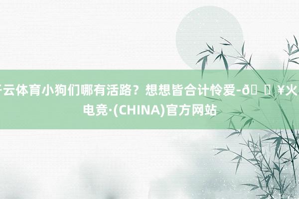 开云体育小狗们哪有活路？想想皆合计怜爱-🔥火星电竞·(CHINA)官方网站