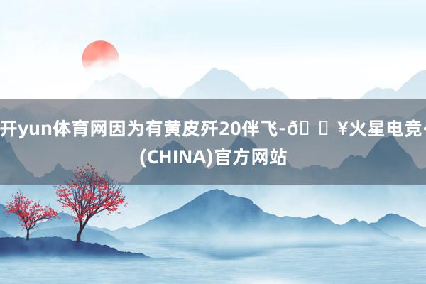 开yun体育网因为有黄皮歼20伴飞-🔥火星电竞·(CHINA)官方网站