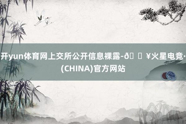 开yun体育网　　上交所公开信息裸露-🔥火星电竞·(CHINA)官方网站