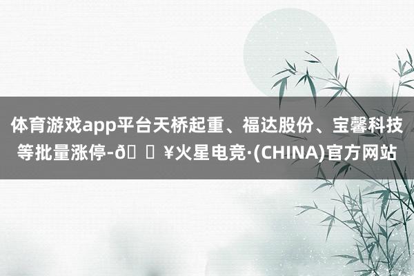 体育游戏app平台天桥起重、福达股份、宝馨科技等批量涨停-🔥火星电竞·(CHINA)官方网站