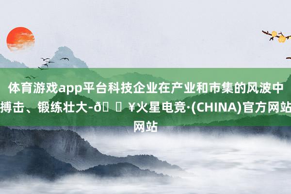 体育游戏app平台科技企业在产业和市集的风波中搏击、锻练壮大-🔥火星电竞·(CHINA)官方网站