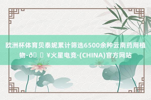 欧洲杯体育贝泰妮累计筛选6500余种云南药用植物-🔥火星电竞·(CHINA)官方网站