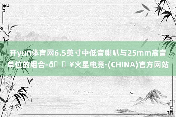 开yun体育网6.5英寸中低音喇叭与25mm高音单位的组合-🔥火星电竞·(CHINA)官方网站