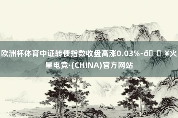 欧洲杯体育　　中证转债指数收盘高涨0.03%-🔥火星电竞·(CHINA)官方网站