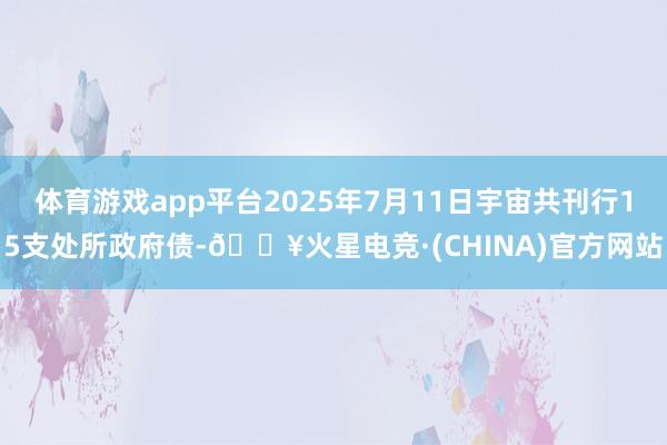 体育游戏app平台2025年7月11日宇宙共刊行15支处所政府债-🔥火星电竞·(CHINA)官方网站