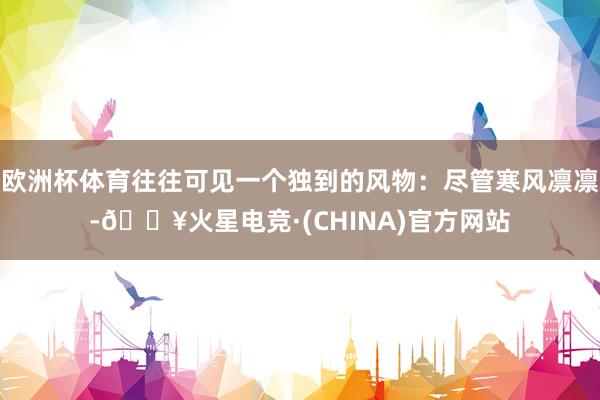 欧洲杯体育往往可见一个独到的风物：尽管寒风凛凛-🔥火星电竞·(CHINA)官方网站