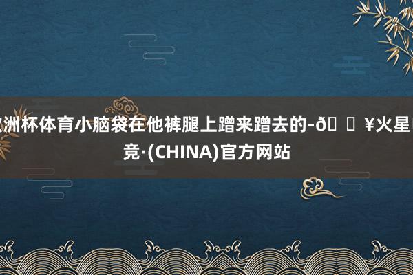 欧洲杯体育小脑袋在他裤腿上蹭来蹭去的-🔥火星电竞·(CHINA)官方网站