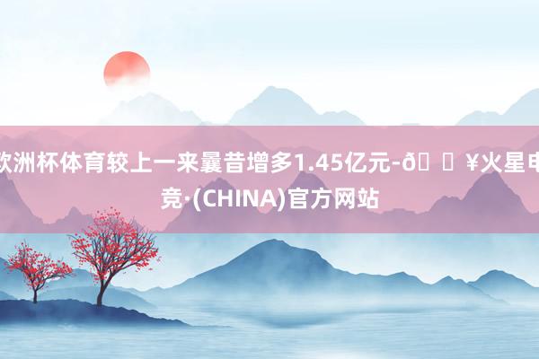 欧洲杯体育较上一来曩昔增多1.45亿元-🔥火星电竞·(CHINA)官方网站