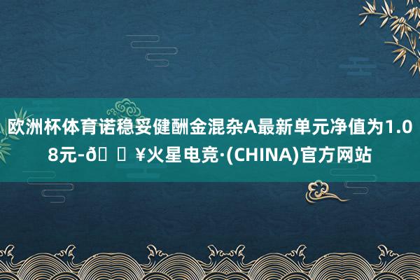 欧洲杯体育诺稳妥健酬金混杂A最新单元净值为1.08元-🔥火星电竞·(CHINA)官方网站