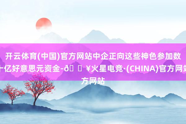 开云体育(中国)官方网站中企正向这些神色参加数十亿好意思元资金-🔥火星电竞·(CHINA)官方网站